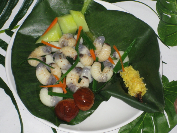 090505_foodmohyoung110846.jpg