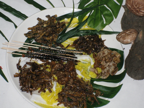 090505_foodmohyoung111400.jpg