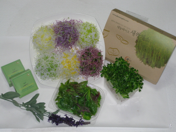 090506_foodmohyoung135042.jpg