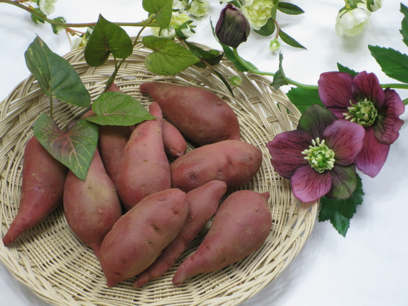 090707_foodmohyoung194631.jpg