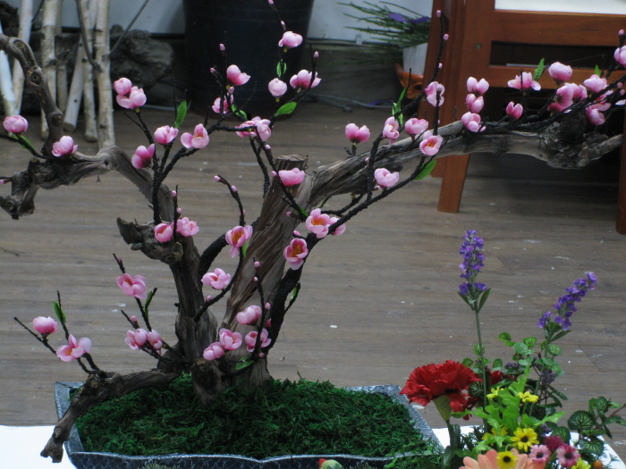091030_foodmohyoung041741.jpg