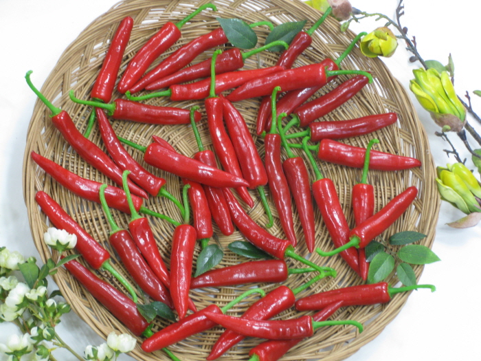 091030_foodmohyoung042828.jpg