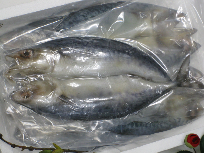 091030_foodmohyoung050203.jpg