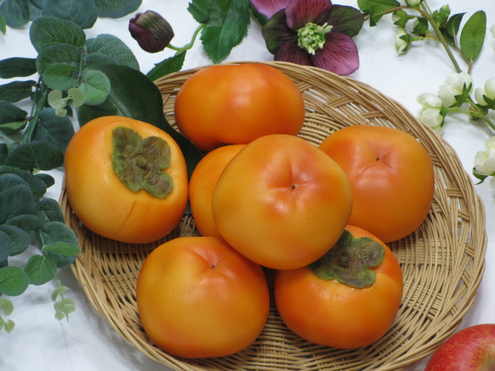 100509_foodmohyoung224318.jpg